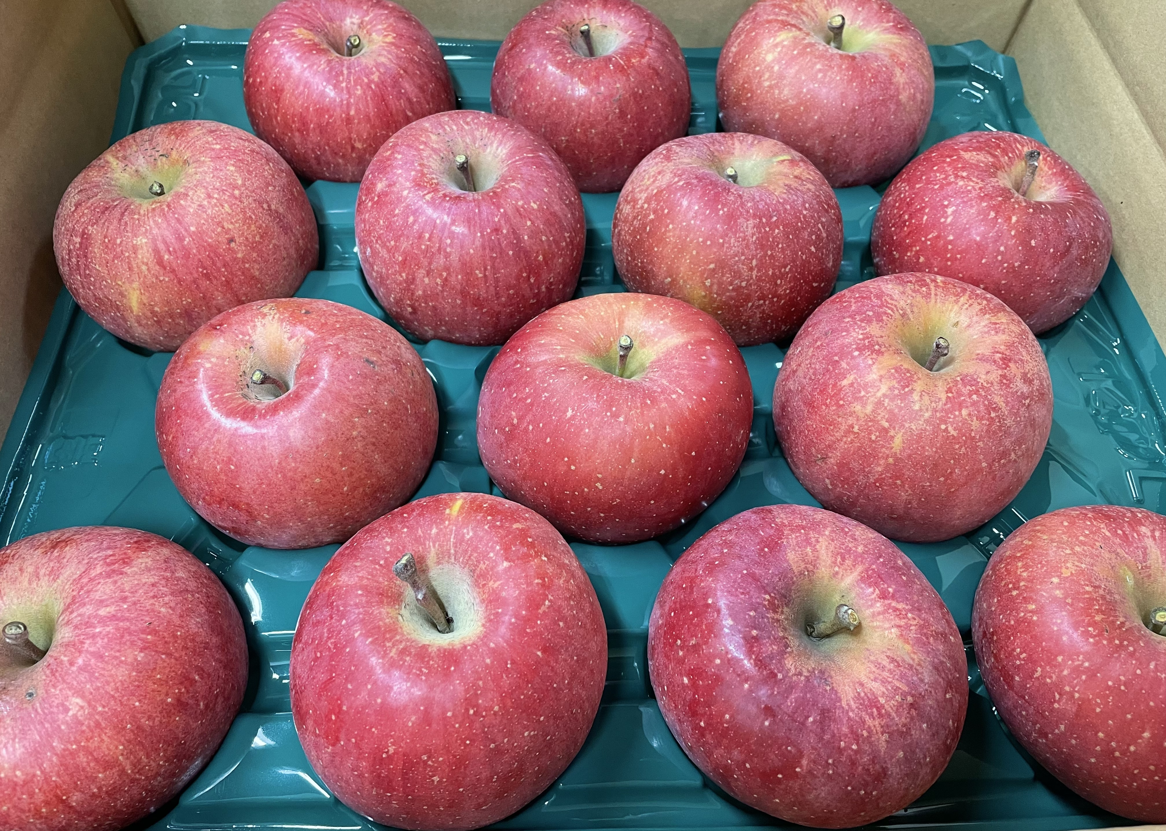 サンふじ 3Lサイズ 5kg | 椎名秀果園ネットショップ